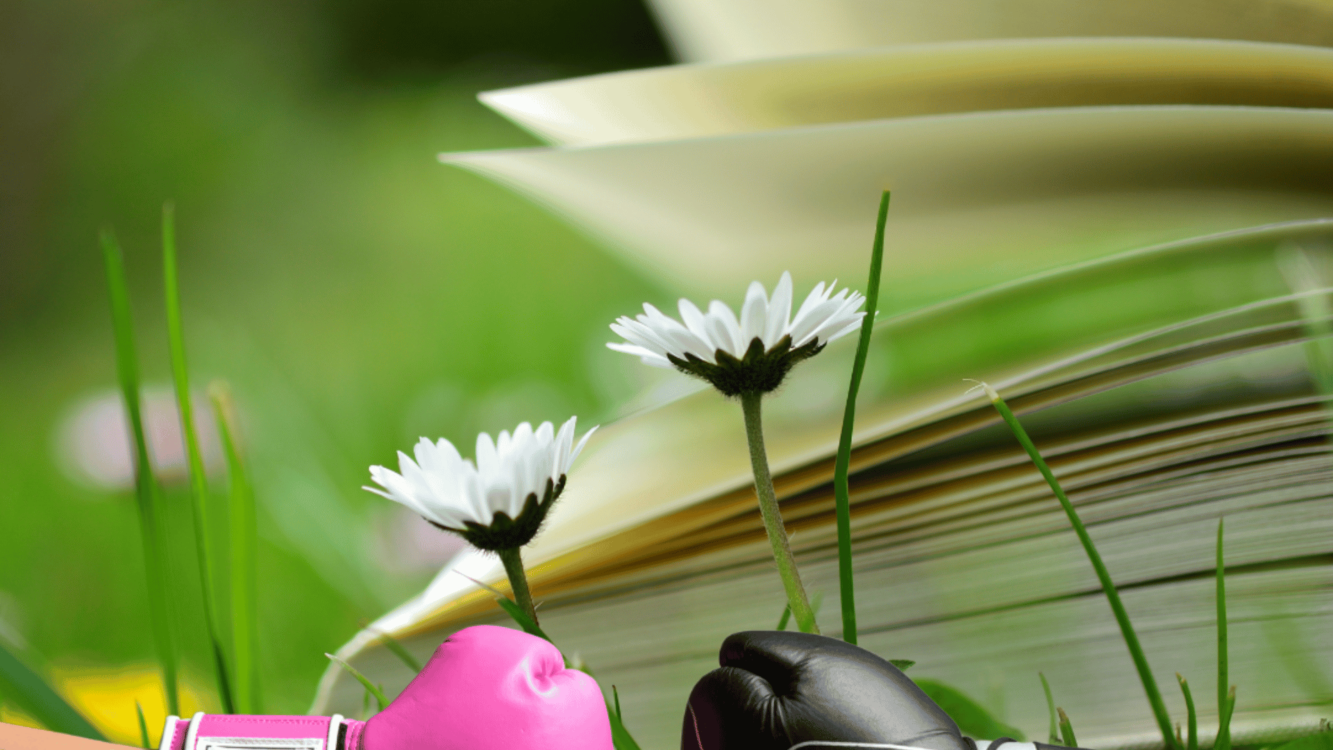 VELIKO KAMPSTER ISTRAŽIVANJE: Razlika u preferencama u učenju između muškaraca i žena